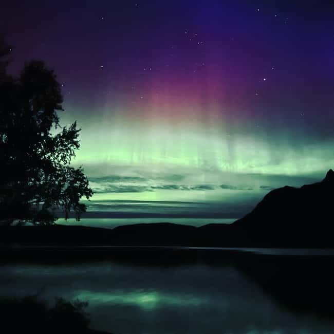 Harstad/Narvik/Tjeldsund: Northern Lights Sightseeing by Car - Why a private aurora hunt works well here