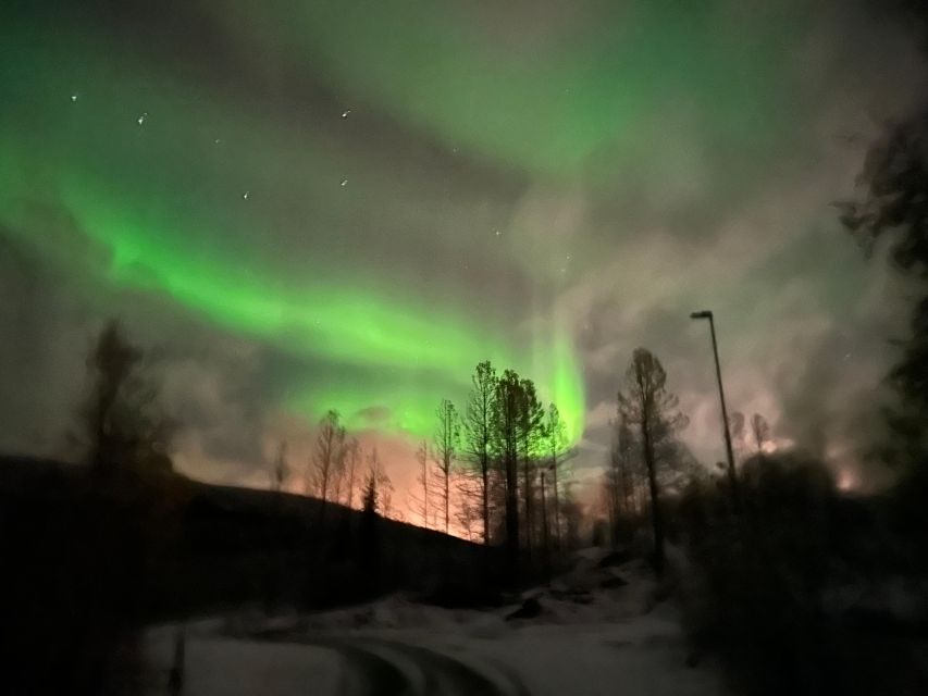 Harstad/Narvik/Tjeldsund: Northern Lights Sightseeing by Car - Riding through the fjords after dark