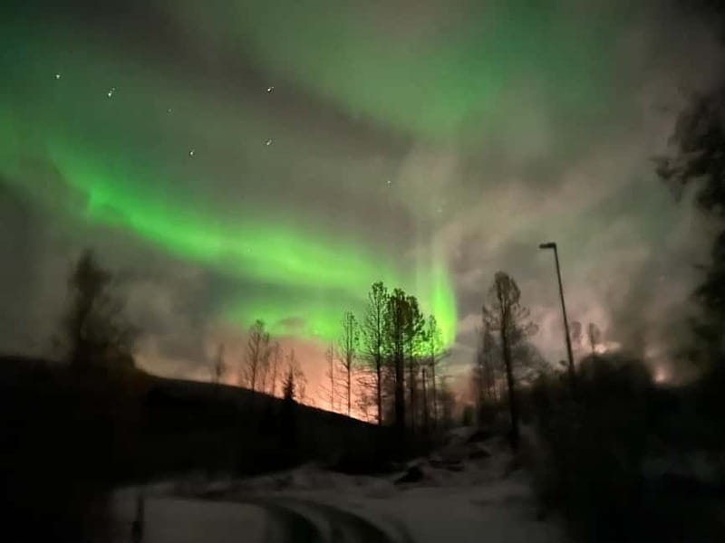 Harstad/Narvik/Tjeldsund: Northern Lights Sightseeing by Car - Wine, warmth, and the long wait