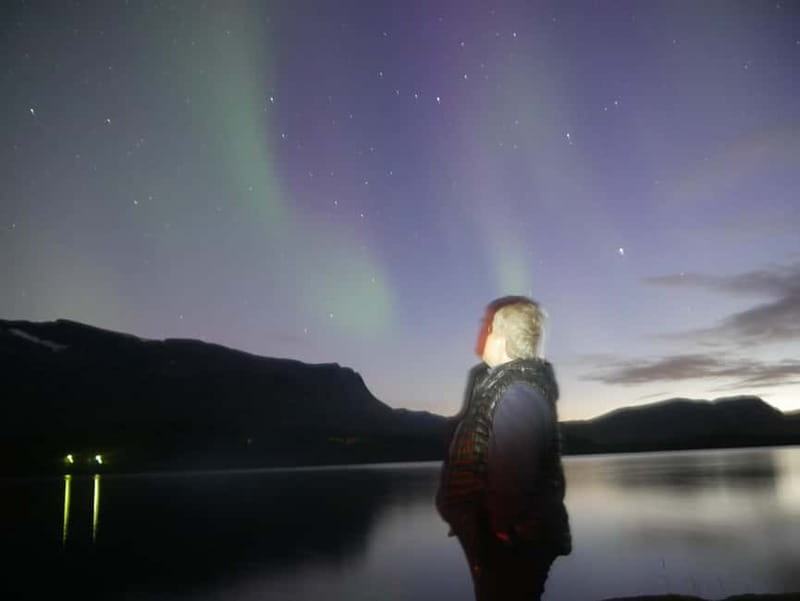 Harstad/Narvik/Tjeldsund: Northern Lights Sightseeing by Car - Is $215 a good value?