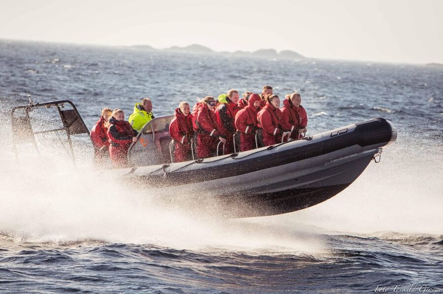 Haugesund: RIB Safari to the island communities - What the two-hour schedule really gives you