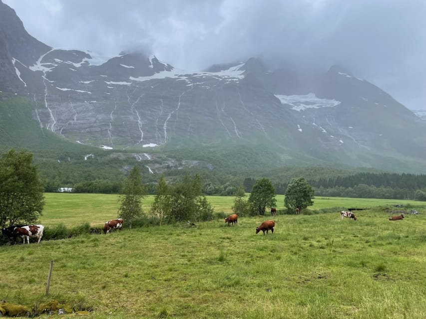 Hellesylt to Norangsdalen: Scenic E-Bike Tour - The good and the less good