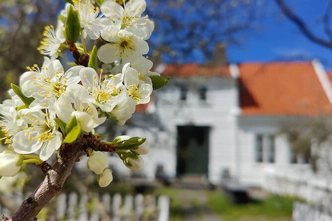 Highlights of the Region -City/Skudenes/Avaldsnes Guided Bustour - Key points to know before booking