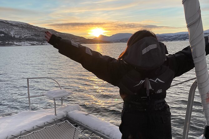History Fjordcruise Around The Isle Of Tromso - Luxury Catamaran - Is $140.24 Good Value for Two Hours?