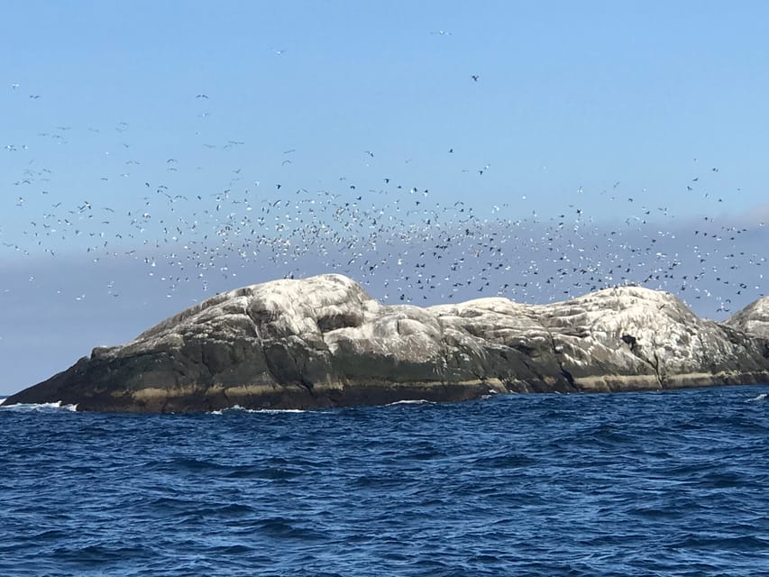 Honningsvåg: North Cape King Crab & Arctic Wildlife Safari - Who will enjoy this tour most?