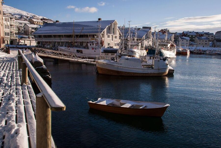 Honningsvåg: North Cape Winter Excursion with Entry Ticket - What the driver and guide add