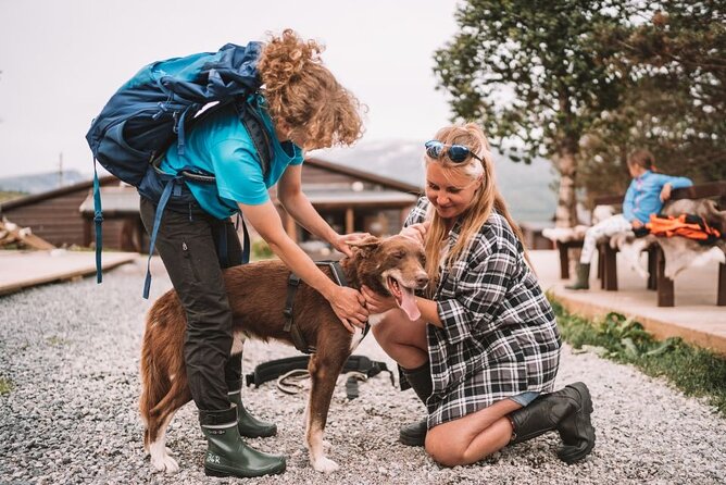 Husky Hike and Puppy Visit with Lunch - Who will enjoy this Tromsø dog experience?