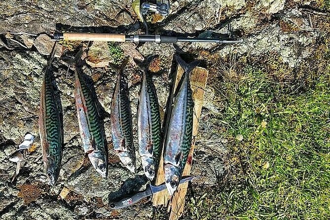 Inshore fishing in the Drangefjord - Practical details that affect your day