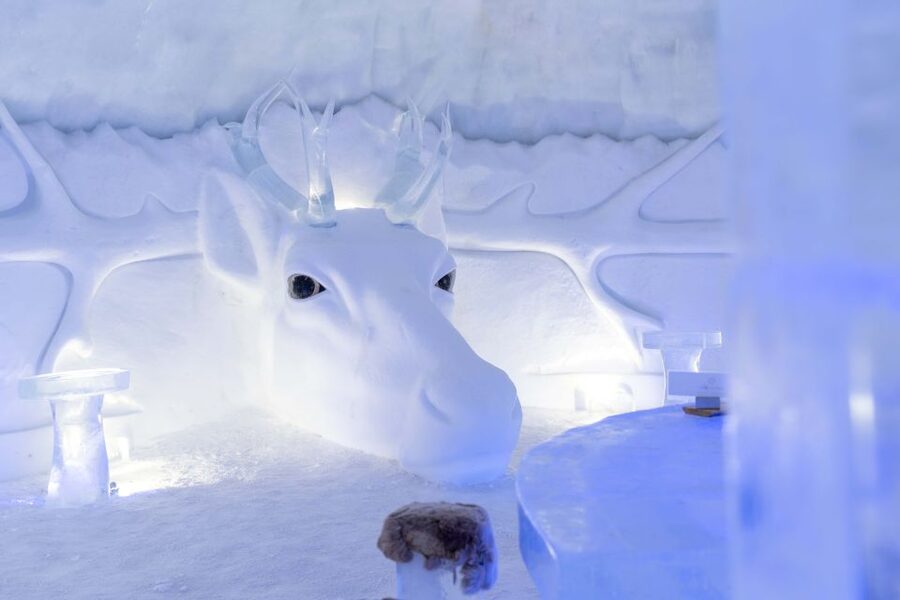 Kirkenes: Snowhotel Entrance Ticket - Reindeer first, then a lively husky yard