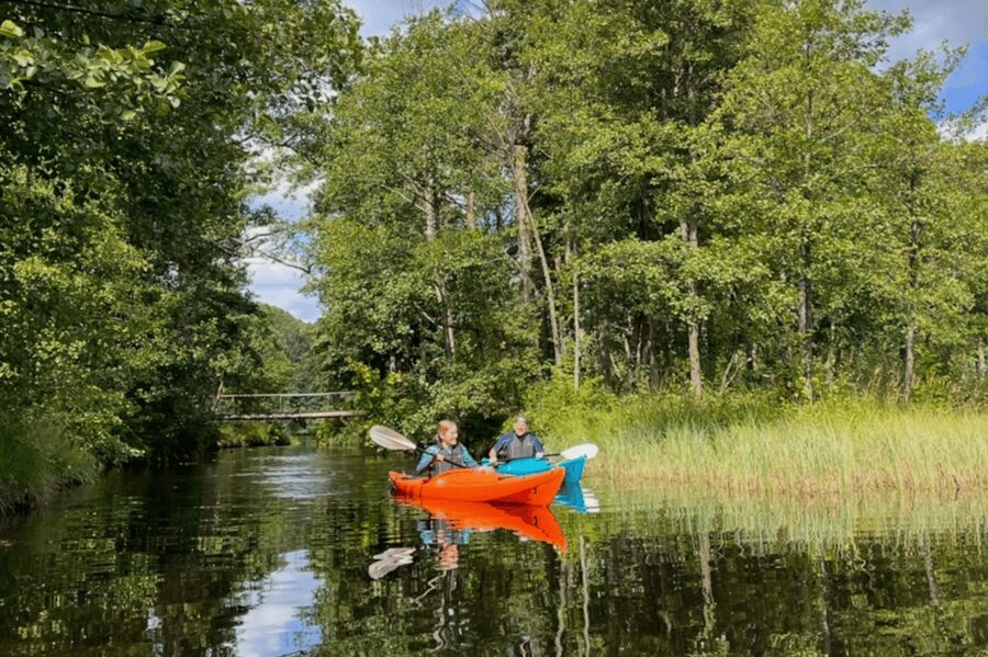 Kristiansand: Otra River Kayaking Adventure - What $146 Buys You