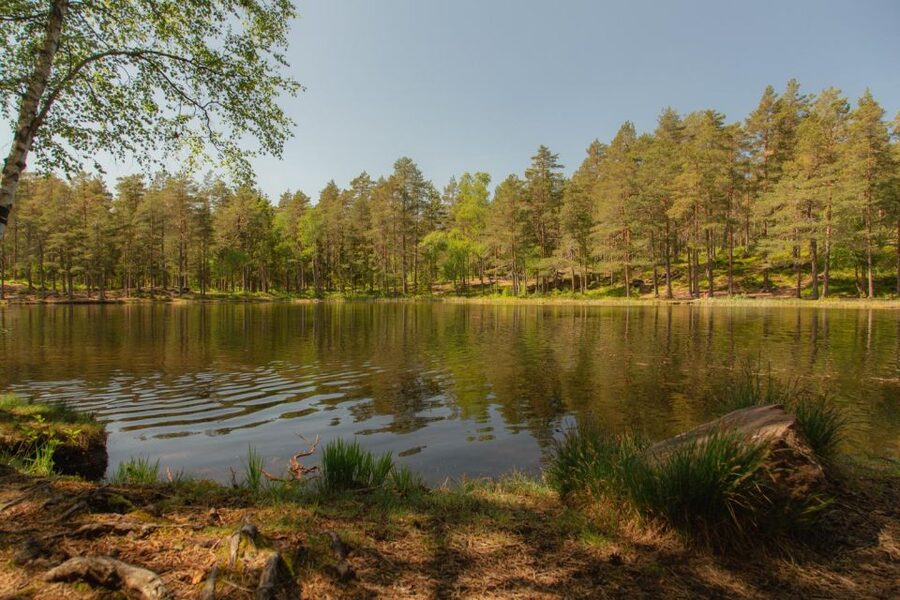 Lake walk and campfire - Why Sognsvann works for a short Oslo outing