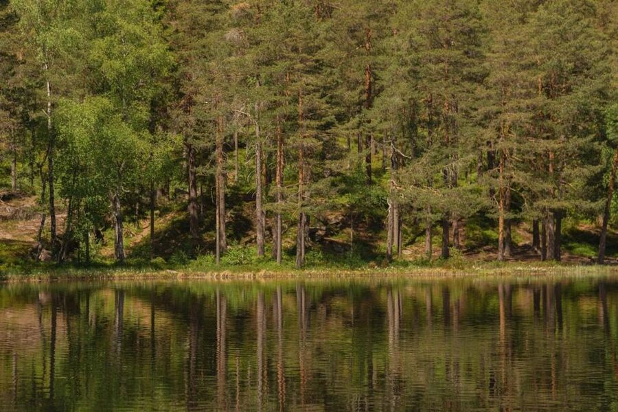 Lake walk and campfire - Campfire lessons beside the water