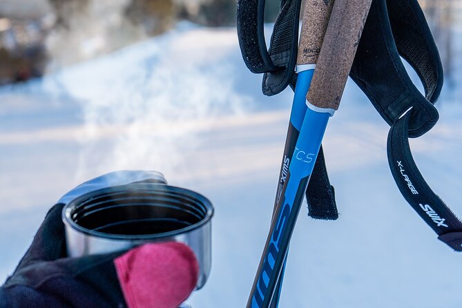 Learn Nordic Skiing - Private Class with Professional Instructor - Who will enjoy this Oslo experience most