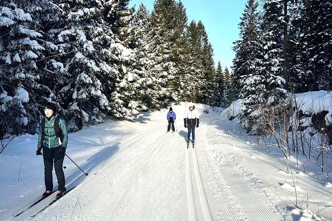 Learn Nordic Skiing - Private Class with Professional Instructor - From first steps to the snowy forest