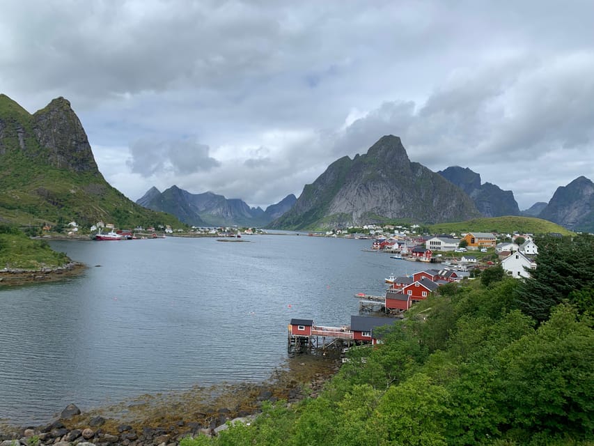 Leknes: 4 Hours Private Exclusive Car Sightseeing in Lofoten - Pickup from Leknes and cruise ship practicality