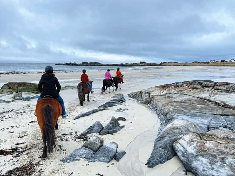 Lofoten: Guided Horse Riding Tour Over Hov and Hovsund - Why horseback is a good way to see this part of Lofoten