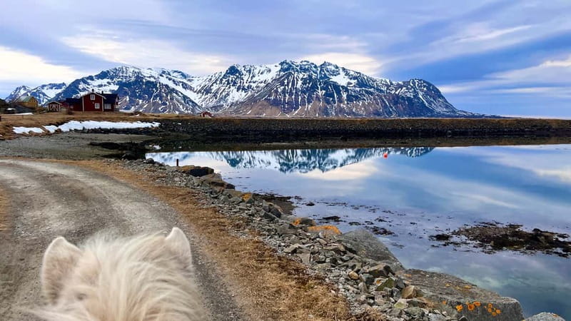 Lofoten: Guided Horse Riding Tour Over Hov and Hovsund - Learning the reins before leaving the stable