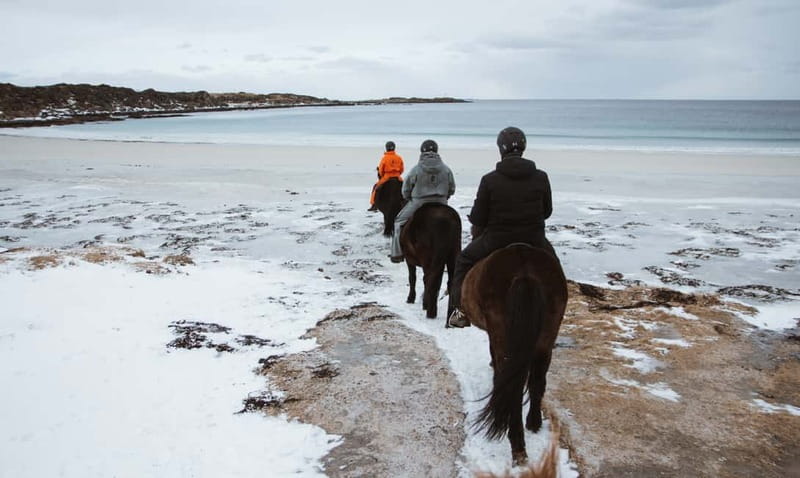 Lofoten: Guided Horse Riding Tour Over Hov and Hovsund - Returning to the stable after 90 minutes