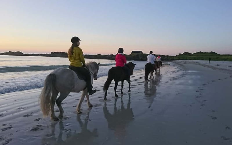 Lofoten: Guided Horse Riding Tour Over Hov and Hovsund - Is the $126 price good value?