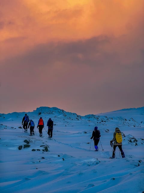 Lofoten: Half Day Snowshoe Tour - Why this snowshoe tour fits Lofoten so well