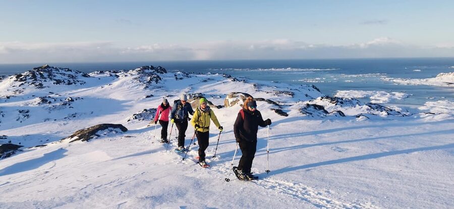 Lofoten: Half Day Snowshoe Tour - Reading animal tracks in fresh snow