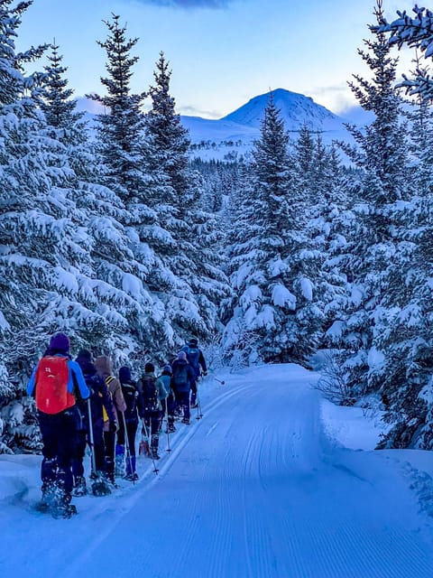 Lofoten: Half Day Snowshoe Tour - A hot drink and Eggum’s local story