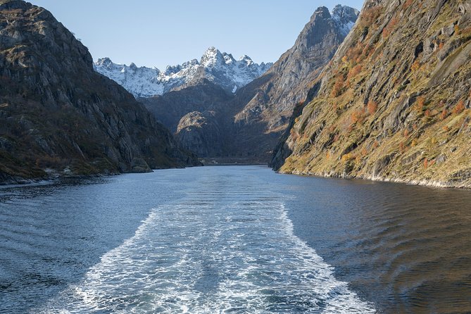 Lofoten Island: Silent Trollfjord Cruise from Svolvær - The underwater drone is a smart bonus