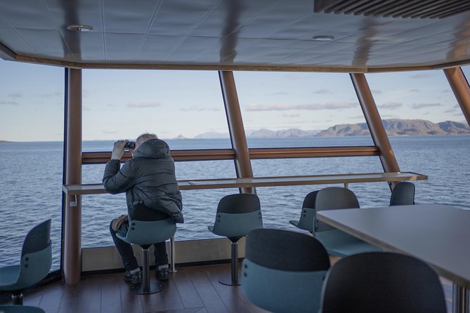 Lofoten Island: Silent Trollfjord Cruise from Svolvær - Weather, timing, and what to bring