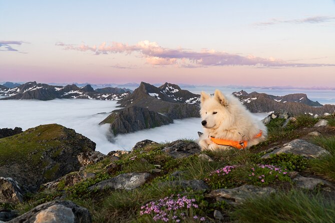 Lofoten Islands: Hiking Into the Wilderness - What to bring for a safe, comfortable walk
