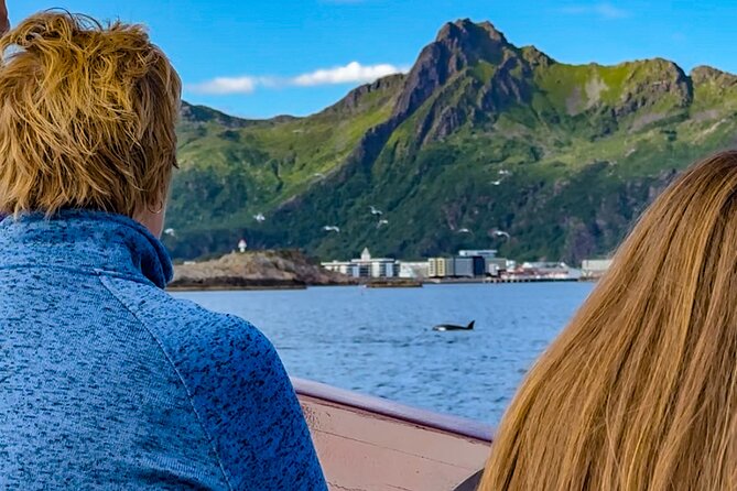 Lofoten Islands Private Midnight Sun Yacht Cruise from Svolvær - Key points to know before booking