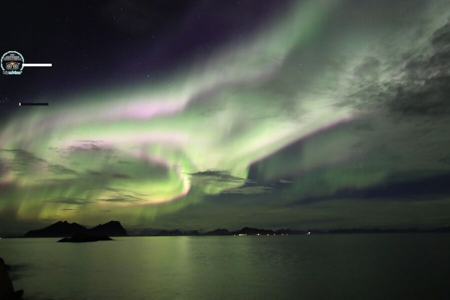 Lofoten: Northern Lights Tour with Photographer - Is $152 good value for four hours?