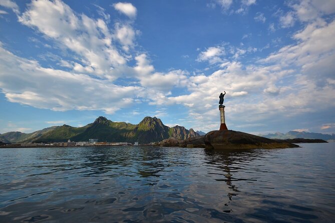 Lofoten RIB Sea Eagle Safari and Trollfjord Cruise - The $128.94 Price and What You Receive