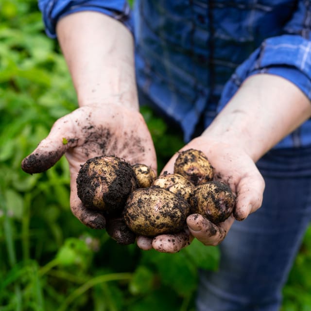 Lofoten (Stamsund and Leknes): Aimees Farm Experience - Why the price can make sense