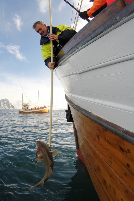 Lofoten: Traditional Fishing Trip - Four hours of waiting, pulling, and watching the water
