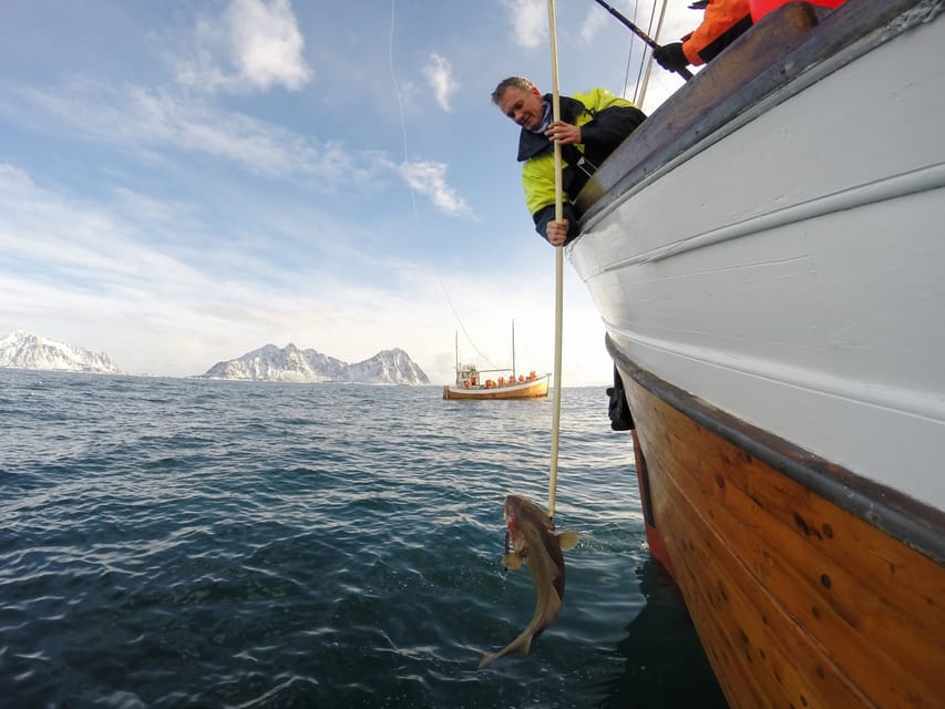 Lofoten: Traditional Fishing Trip - What your catch means on this trip