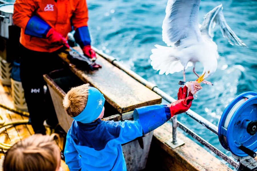 Lofoten: Traditional Fishing Trip - The value of a $146 fishing trip