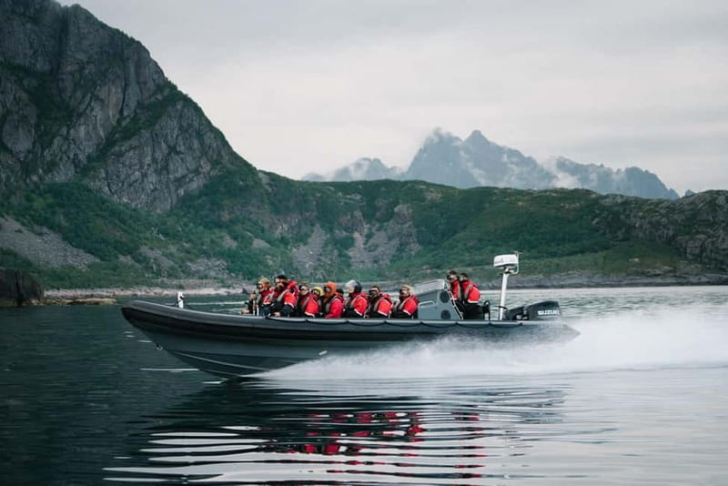 Lofoten: Trollfjord Sea Eagle Safari by RIB Boat - Why the RIB ride is more than a trip to Trollfjord