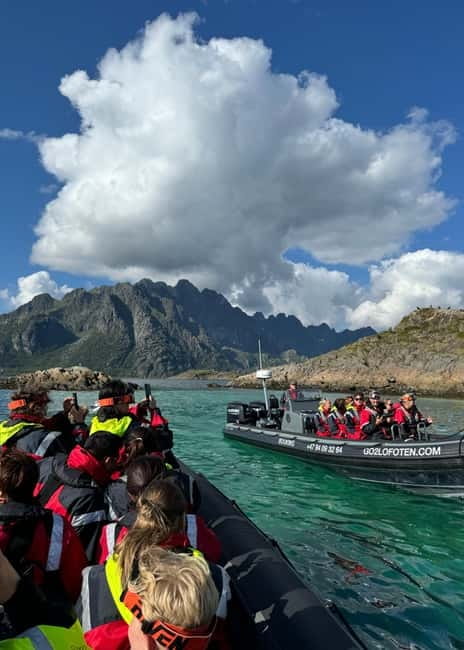 Lofoten: Trollfjord Sea Eagle Safari by RIB Boat - Trollfjord, where the scenery tightens