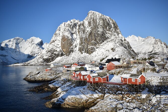 Lofoten VIP PRIVATE Tour from Leknes city / port - Key points to know before booking