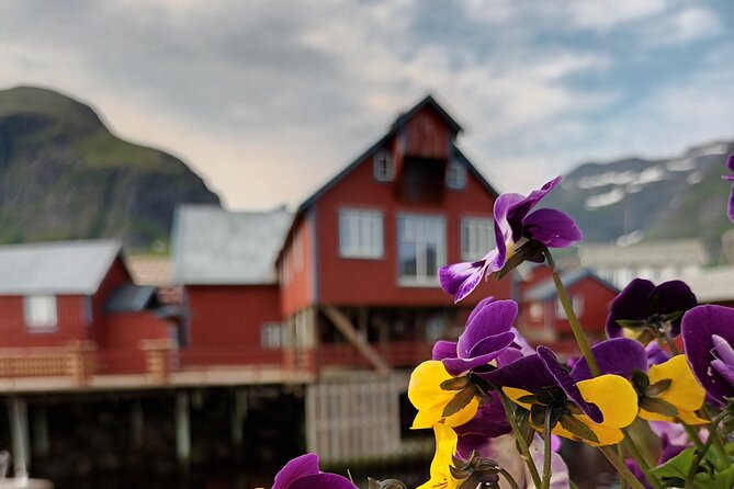 Lofoten VIP PRIVATE Tour from Leknes city / port - Haukland Beach brings the postcard start