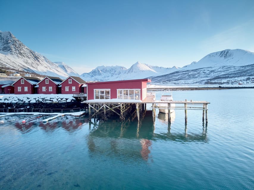Lyngen: Snowmobile Safari with Lunch in seaside Restaurant - Who should book this Lyngen experience?