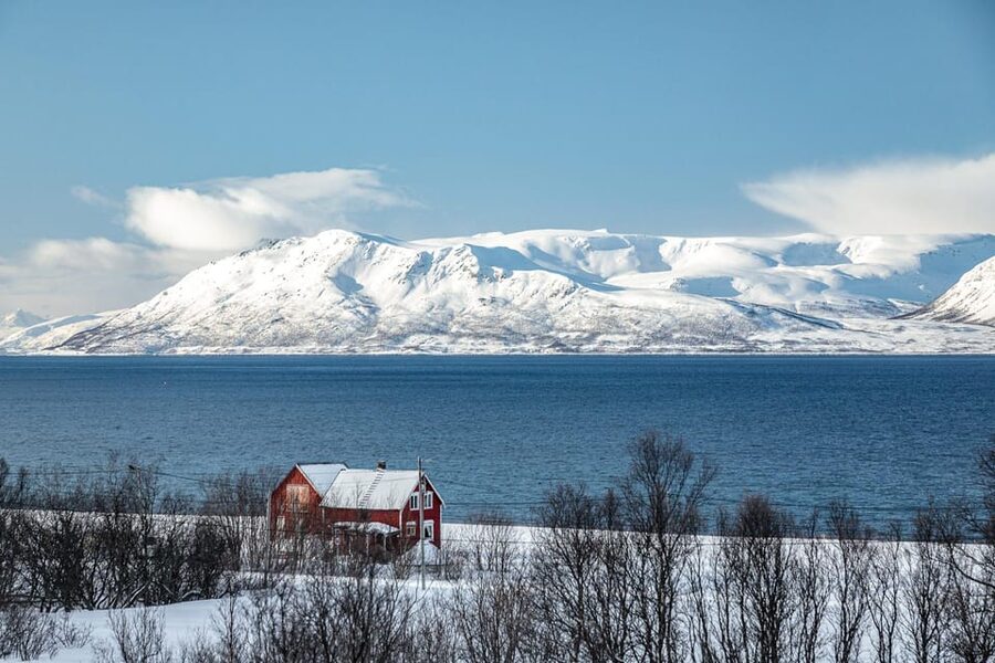 Lyngen: Snowmobile Safari with Lunch in seaside Restaurant - Starting at XLyngen and finding Bøteriet