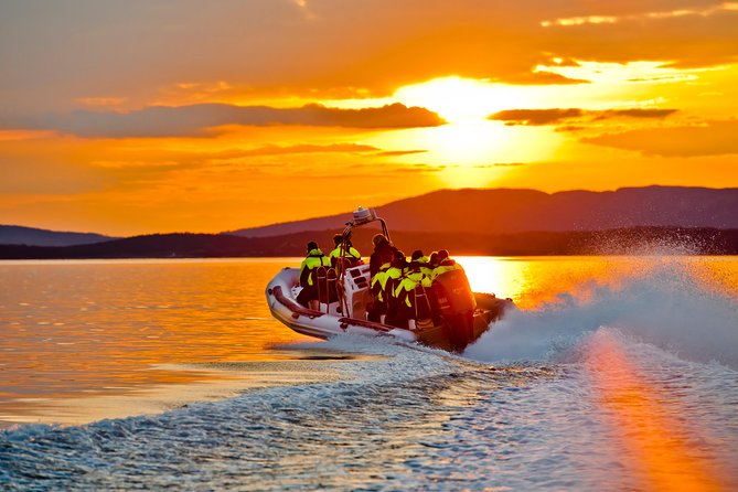 Lysefjord RIB Safari from Stavanger - Fantahålå and the story of the Vagabond Cave