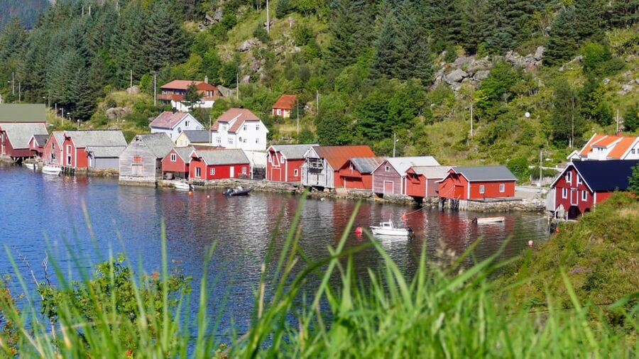 Måløy: Electric Minibus Tour to Kannesteinen - Key points to know before booking