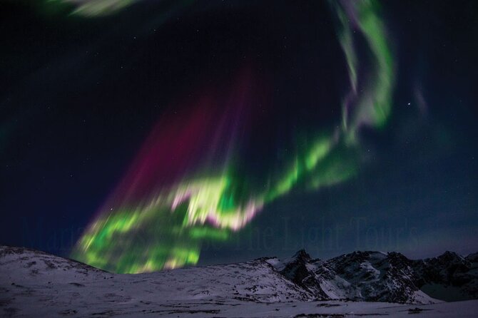 Marianne’s Heaven On Earth Aurora Chaser Tours - Who Will Get the Most From This Tour