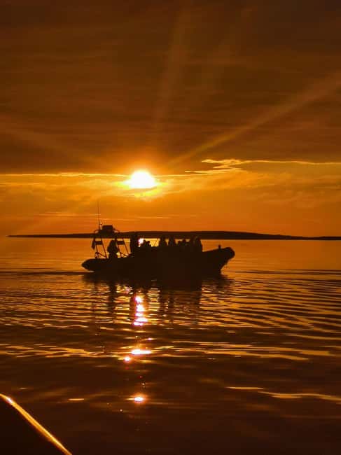 Midnight sun safari - The RIB route through narrow straits and outer waters