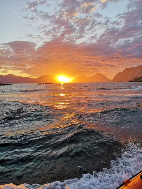 Midnight sun safari - A local view of Lofoten life