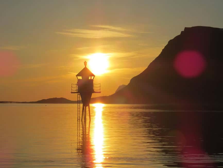 Midnight sun safari - Watching for sea eagles, seals, puffins, and whales