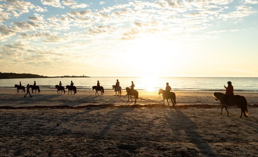 Midnight sun tour - What the $156 price buys you