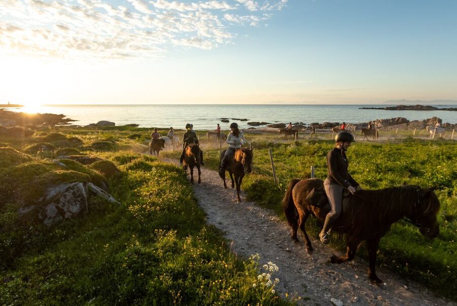 Midnight sun tour - Who will enjoy this ride most